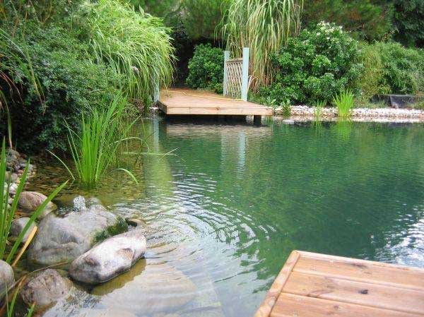 Hồ bơi thuỷ sinh